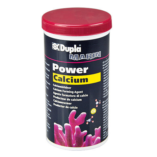 Power Calcium, 400 g DUPLA