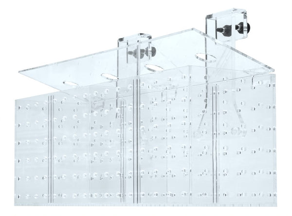 Akklimatisierungsbox 5-Kammern Größe: 500 x 120 x 150 mm GroTech