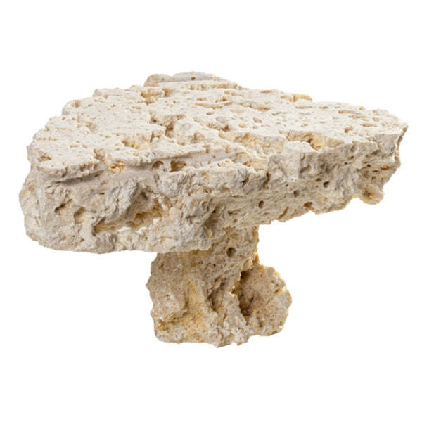 myReef-Rocks Platten, beidseitig geschnitten mit Sockel ca. 10 - 20 cm, per Stück Microbe-Lift