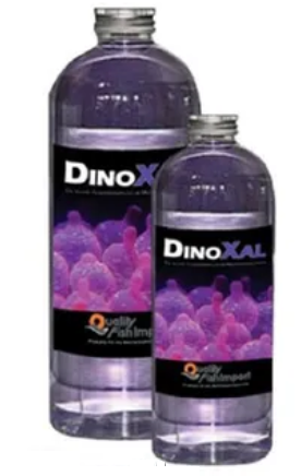 QFI DinoXal 250 ml Algenbekämpfungsmittel Quality Fish Import GmbH
