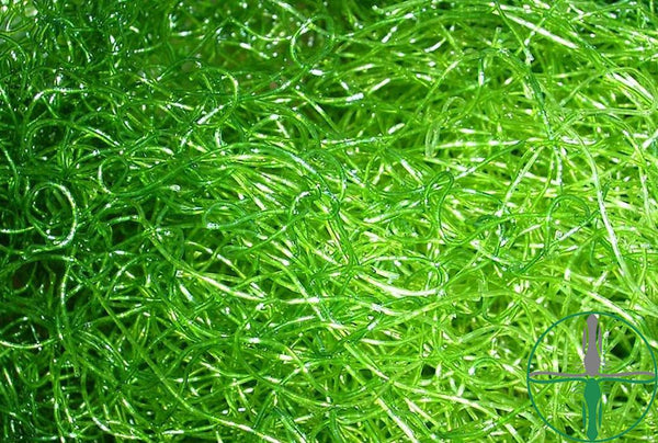 PlanktonPlus Drahtalge (grün) 1000ml PlanktonPlus