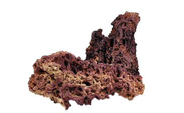 Jurassic Reef-Rock, ca. 25 Kg Riffgestein lila, trocken - Korallenableger.com
