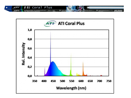 ATI- Coral Plus 54 Watt ATI