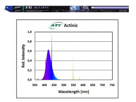 ATI- Actinic 39 Watt ATI
