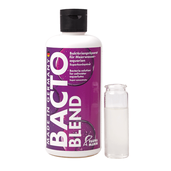 Bacto Blend 250 ml All in One Bakterien für Riffaquarien Fauna Marin