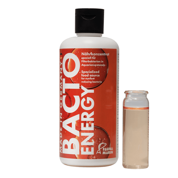 Bacto Energy 250ml  Start und Bakteriennährlösung Fauna Marin
