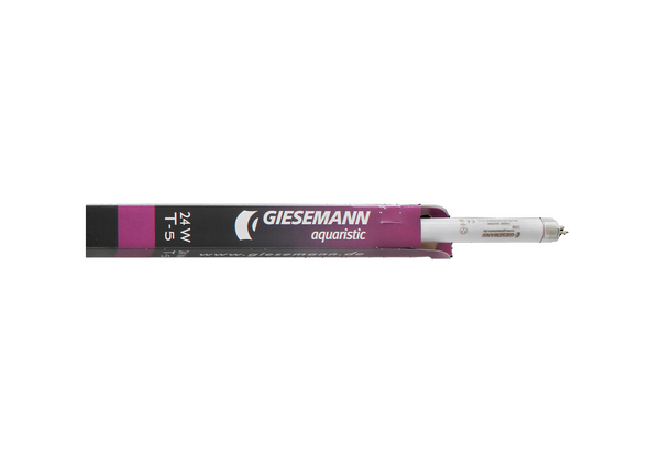 Powerchrome super purple - weißviolett  24W Giesemann