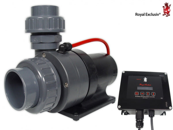 Red Dragon 3 Mini Speedy Pumpe Flow  230 Watt Royal Exclusiv
