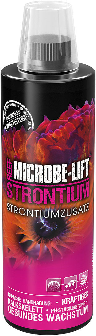 Strontium - Strontium und Molybdän erhöhen (3,79 L.) Microbe-Lift