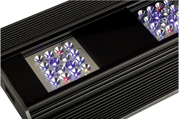 VIVA tropic - 150 Watt LED mit integrierter Lichtsteuerung - iridium Giesemann