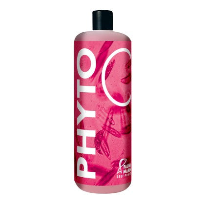 Phyto C - Mix aus natürlich vorkommendem Phytoplankton -250ml - Korallenableger.com