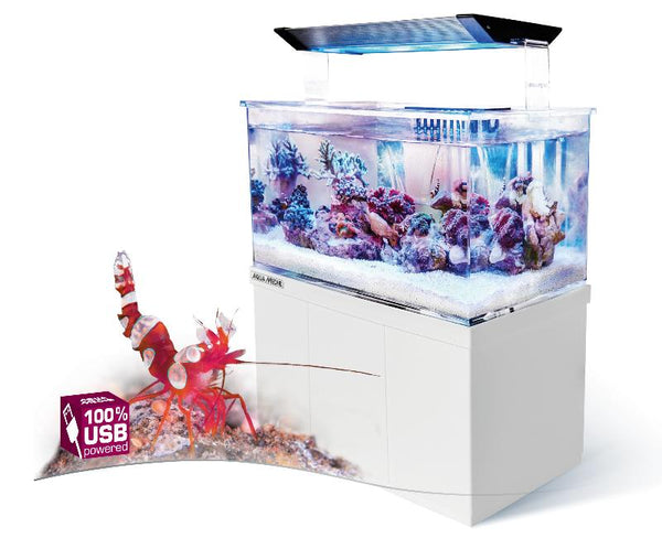 Meerwasseraquarium Armatus XS 
