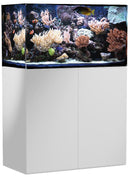 Meerwasseraquarium Armatus 250 