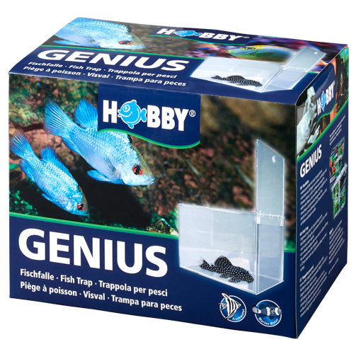 Genius, Fischfalle  21 x 13 x 15 cm Hobby