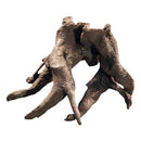 Rückwandwurzel 1  21 x 16 x 14 cm Hobby