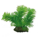 Egeria  13 cm, SB Hobby