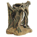 Azalea Root 3 - 33 x 26 x 35 cm Hobby