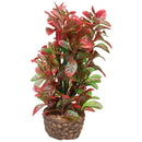 Flora Stone 4  4 x 13 cm Hobby