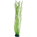 Lagarosiphon  60 cm, SB Hobby