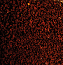 Siliphos Freshwater 7 kg DUPLA