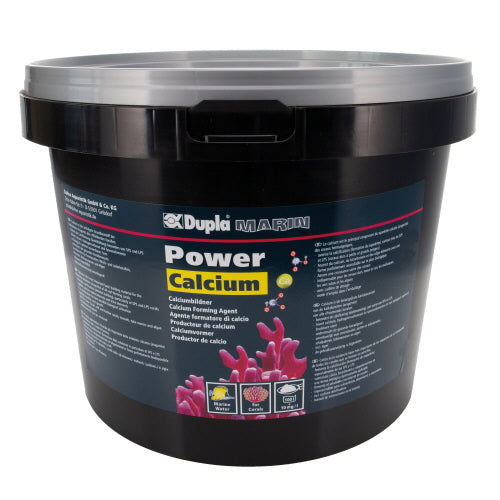 Power Calcium 10 kg DUPLA