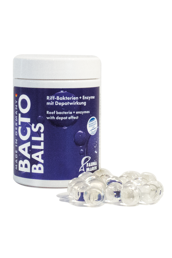 Bacto Reef Balls 250ml Riff Bakterien + Enzyme mit Depotwirkung Fauna Marin