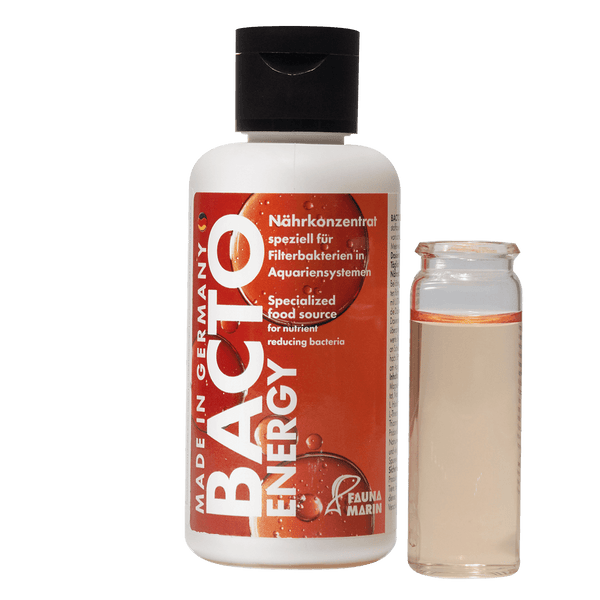 Bacto Energy 100ml  Start und Bakteriennährlösung Fauna Marin