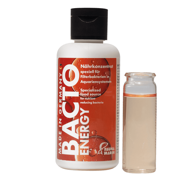 Bacto Energy 100ml  Start und Bakteriennährlösung