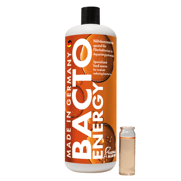 Bacto Energy  1000ml  Start und Bakteriennährlösung Fauna Marin