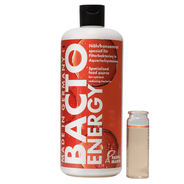 Bacto Energy 500ml  Start und Bakteriennährlösung Fauna Marin