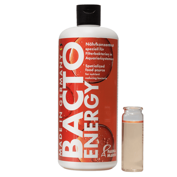 Bacto Energy 500ml  Start und Bakteriennährlösung
