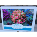 Reefers Bio Reef Salz Premium Quality Karton Box 20 kg Korallenzucht