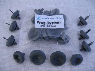 Frag System Soft Coral + SPS Mix Set 10 St. Korallenzucht