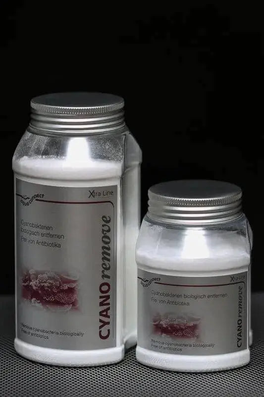 CYANO remove 300g - Korallenableger.com