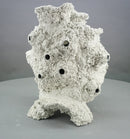 Deep Blue Sea-Salz 20 Kg Eimer AquaPerfekt