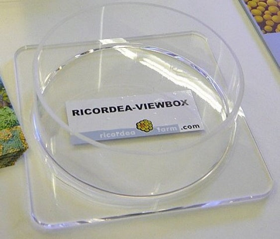 Ricordea Viewbox Preis Aquaristik