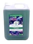 PlanktonPlus PHYTO-GREEN 5l PlanktonPlus