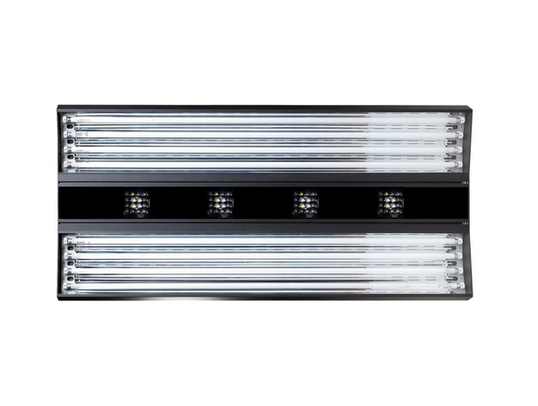 AURORA V8  1500 mm 1000 Watt - 4 LED Cluster / 8 x T-5 - 80W - iridium Giesemann