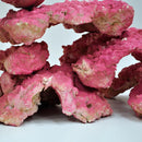 Royal cultured rock Colored red Per 1kg Royal Nature