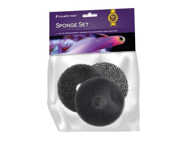 NEW Sponge Set AF110 - Korallenableger.com