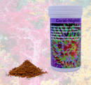 Coral-Nightlife Preis Aquaristik