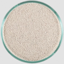 Lifesand Ocean Direct 40 pound  18,14 kg Coral Sands